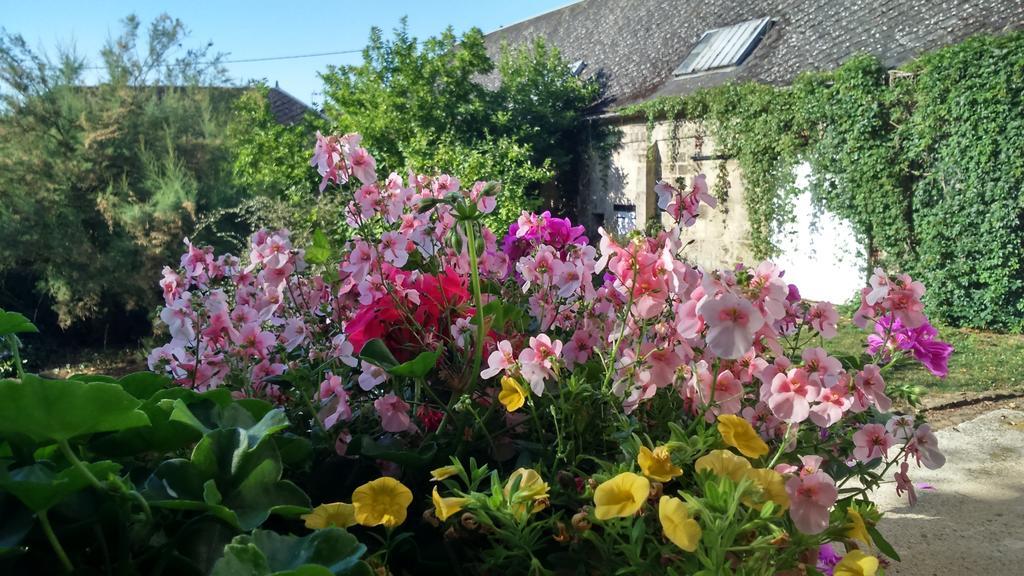 Bed and Breakfast Le Manoir De Crisolles Exterior foto