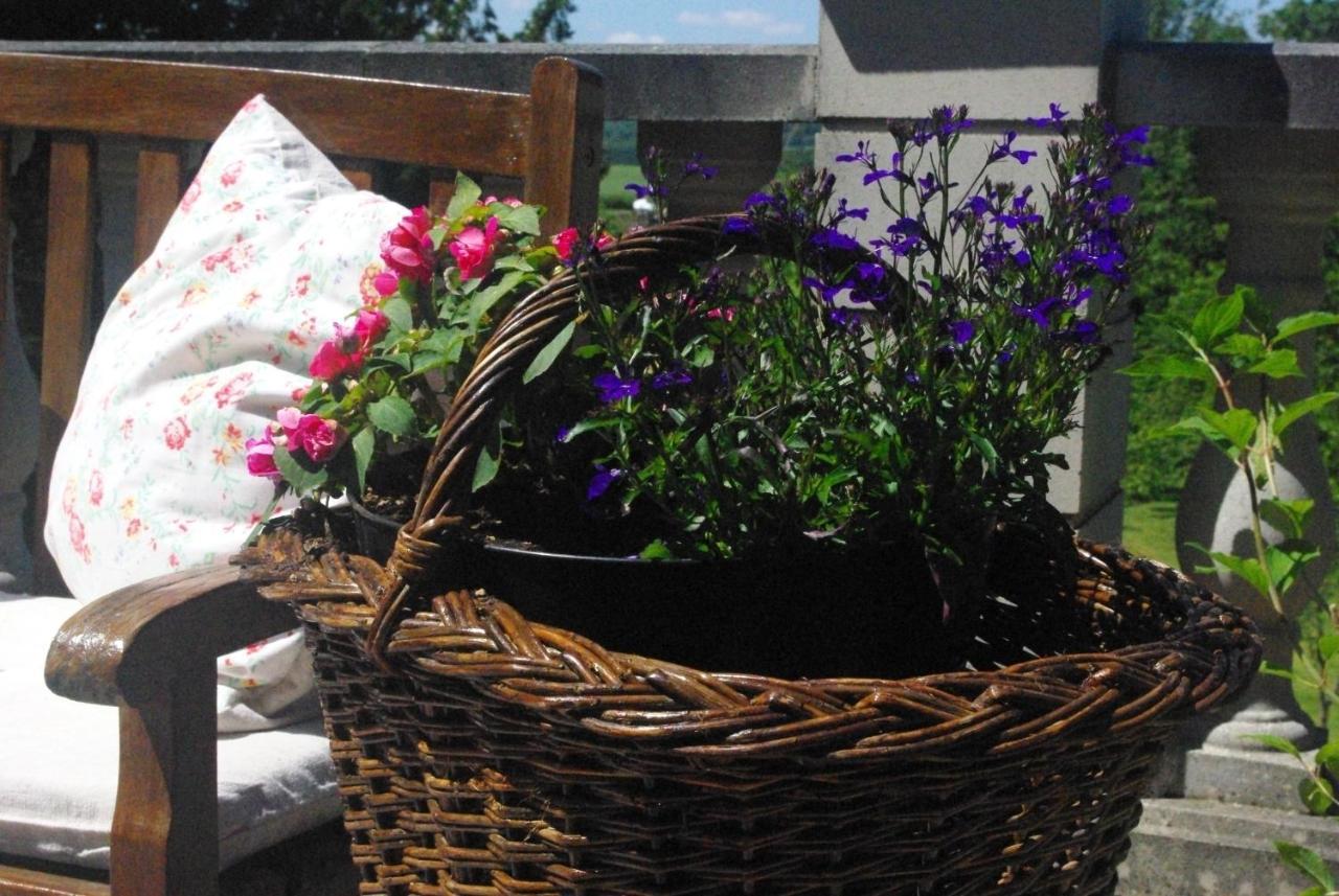 Bed and Breakfast Le Manoir De Crisolles Exterior foto
